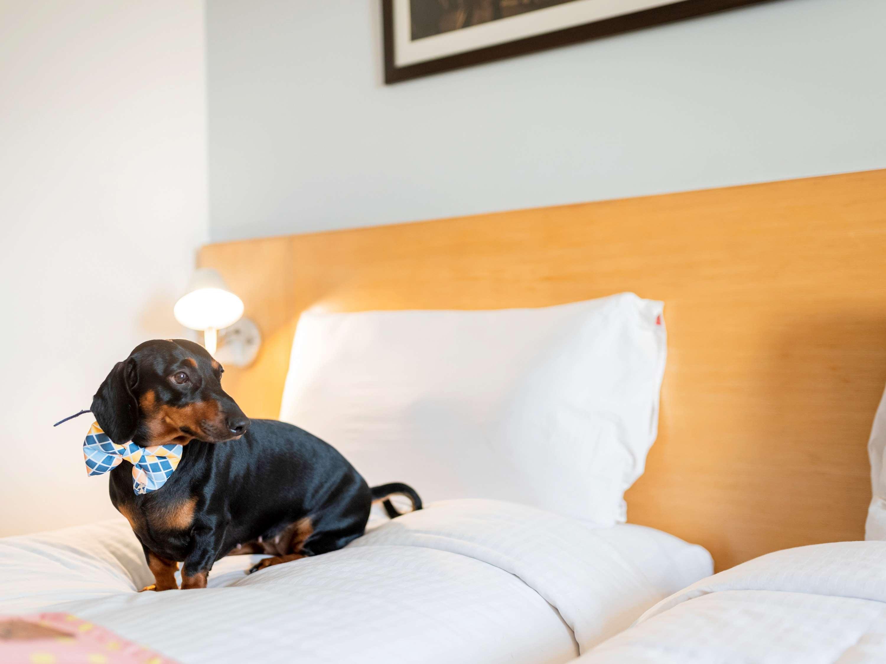 Ibis Bengaluru City Centre - An Accor Brand Εξωτερικό φωτογραφία